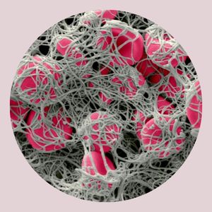 COAGULATION PROFILE